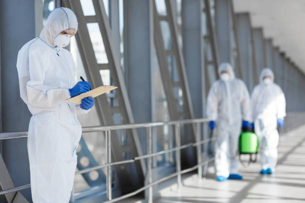 Best Black Mold Removal  in Pleasant Hills, OH