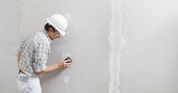 Best Post-Construction Mold Inspection  in Pleasant Hills, OH