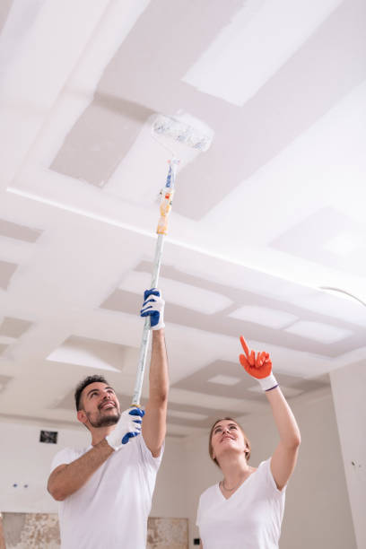 Best Mold Removal for HVAC Installations  in Pleasant Hills, OH