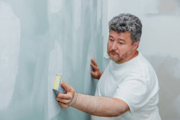 Mold Odor Removal Services in Pleasant Hills, OH